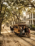 Bourbon to Bayou Collection- Vinyl 5