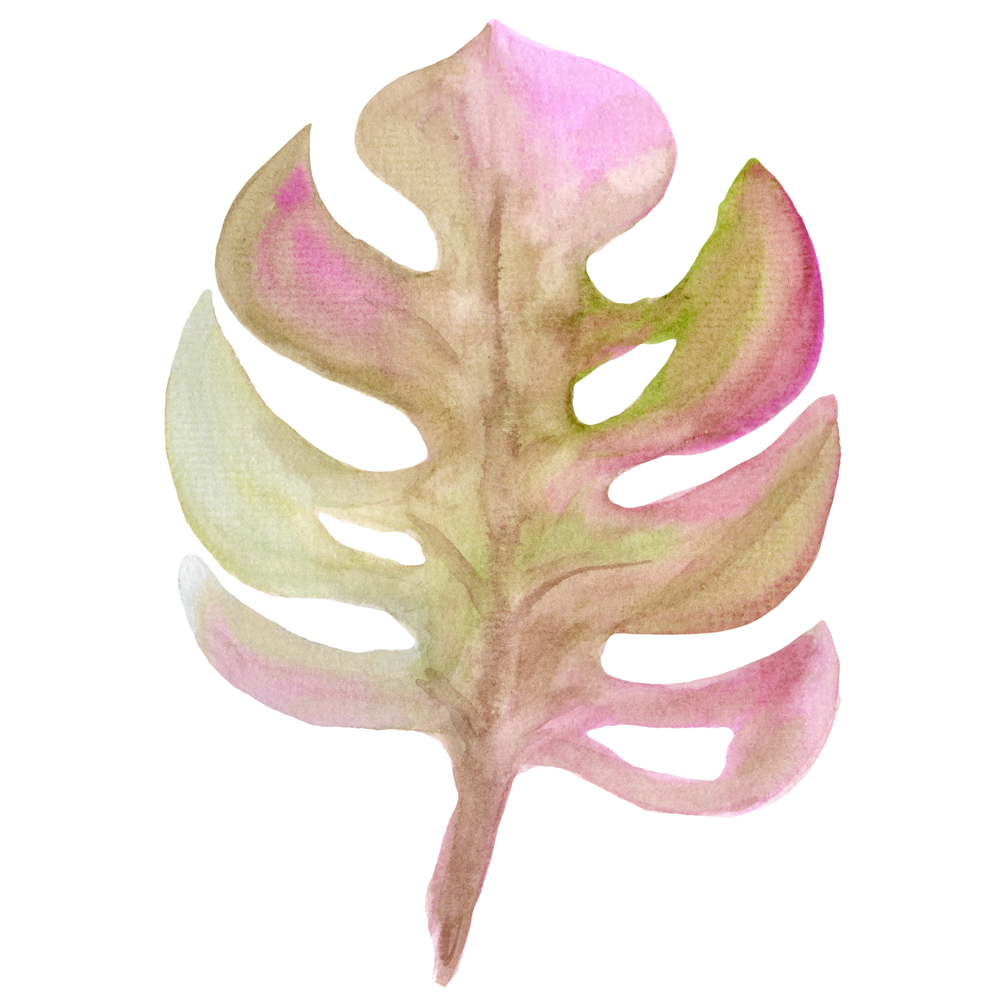 Monstera Decal 5