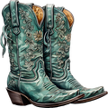 Cowboy Boot 5