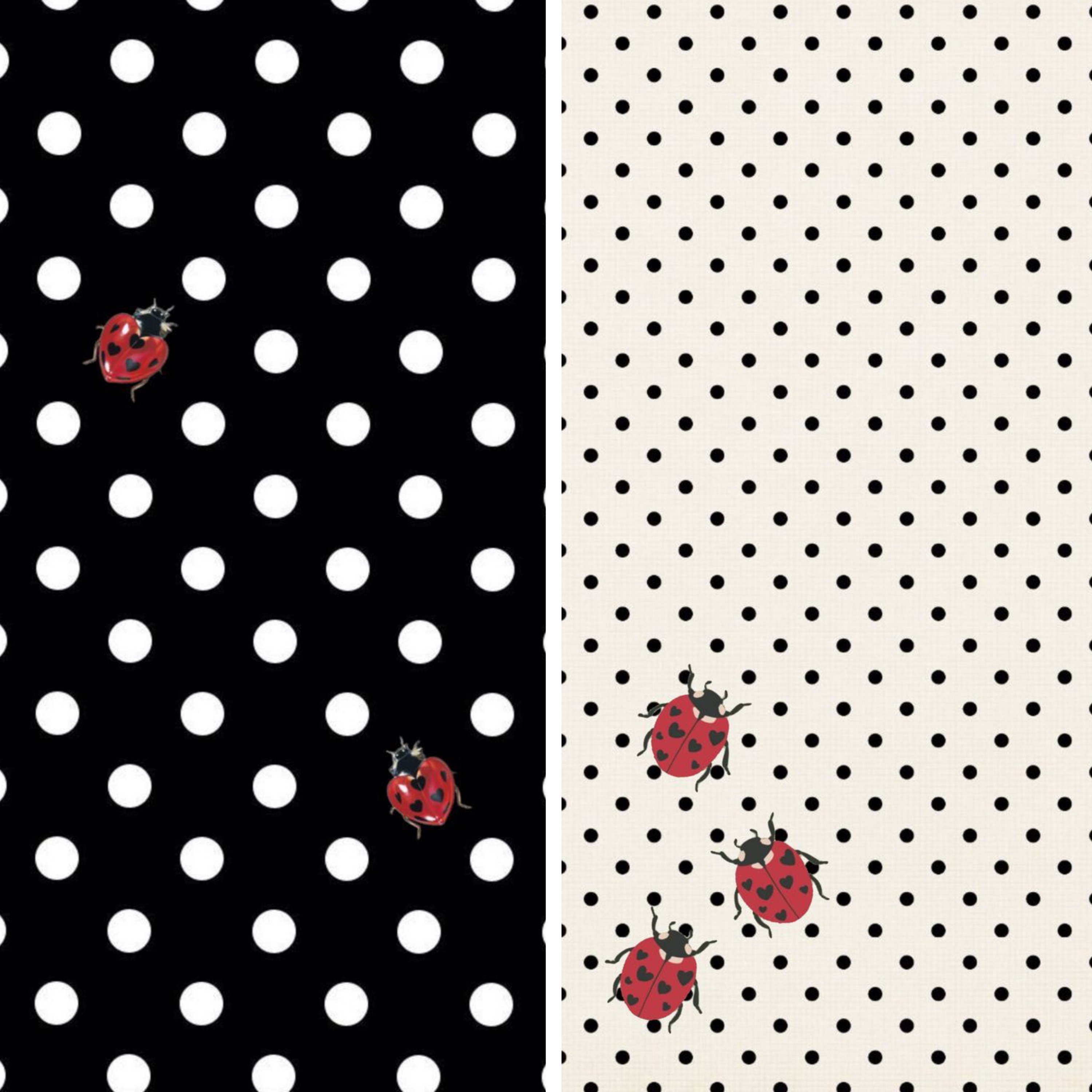 Spring 26'  Mixed Media 40