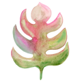 Monstera Decal 6