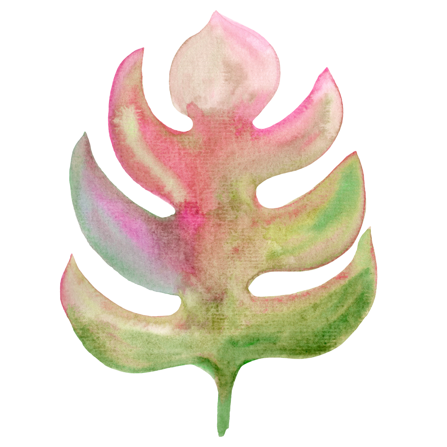 Monstera Decal 6