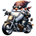 Biker Gnome 6