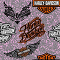 HARLEY VINYL 12
