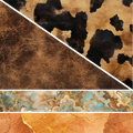 Summer 26' Western- Mixed Media 25