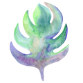 Monstera Decal 8