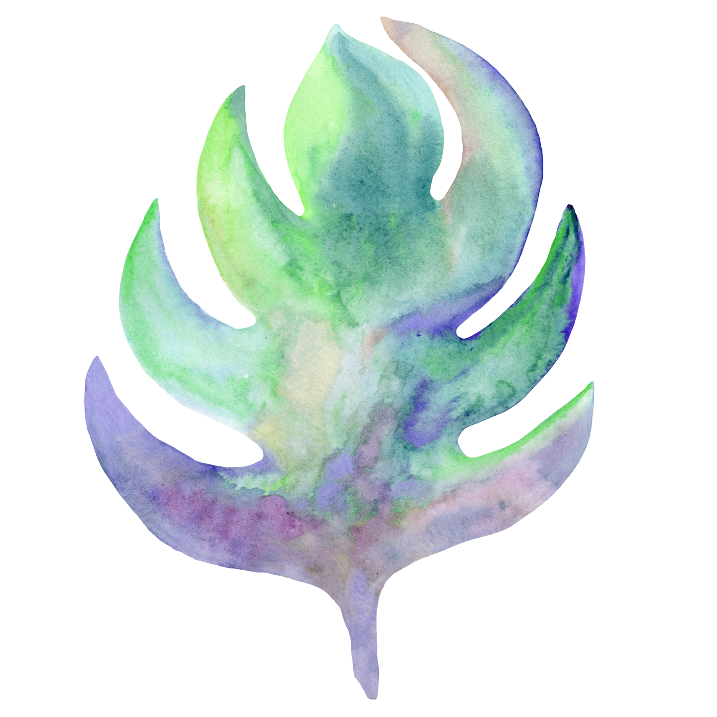 Monstera Decal 8