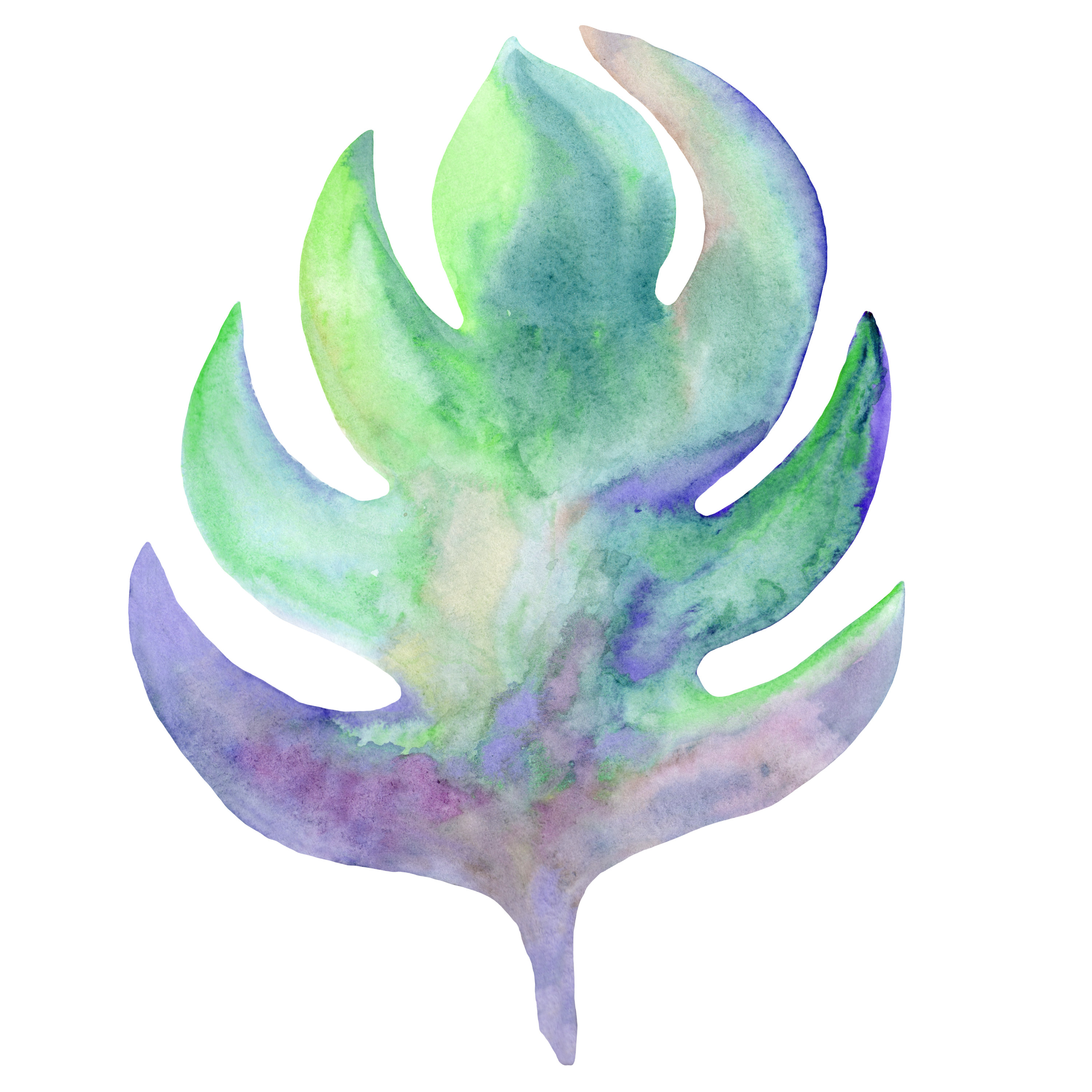 Monstera Decal 8