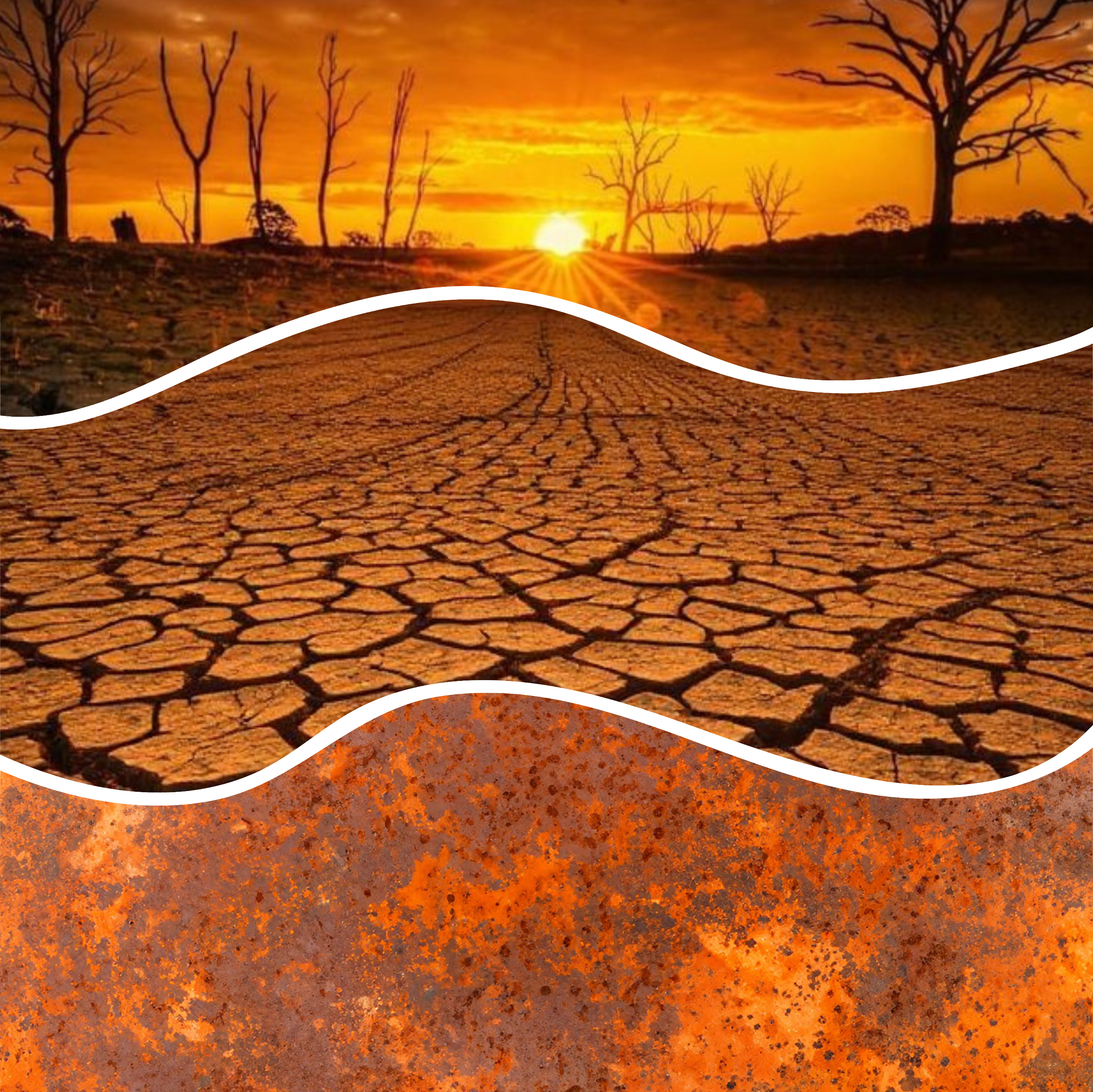 Summer 26' Western- Mixed Media 36