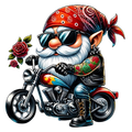 Biker Gnome 3