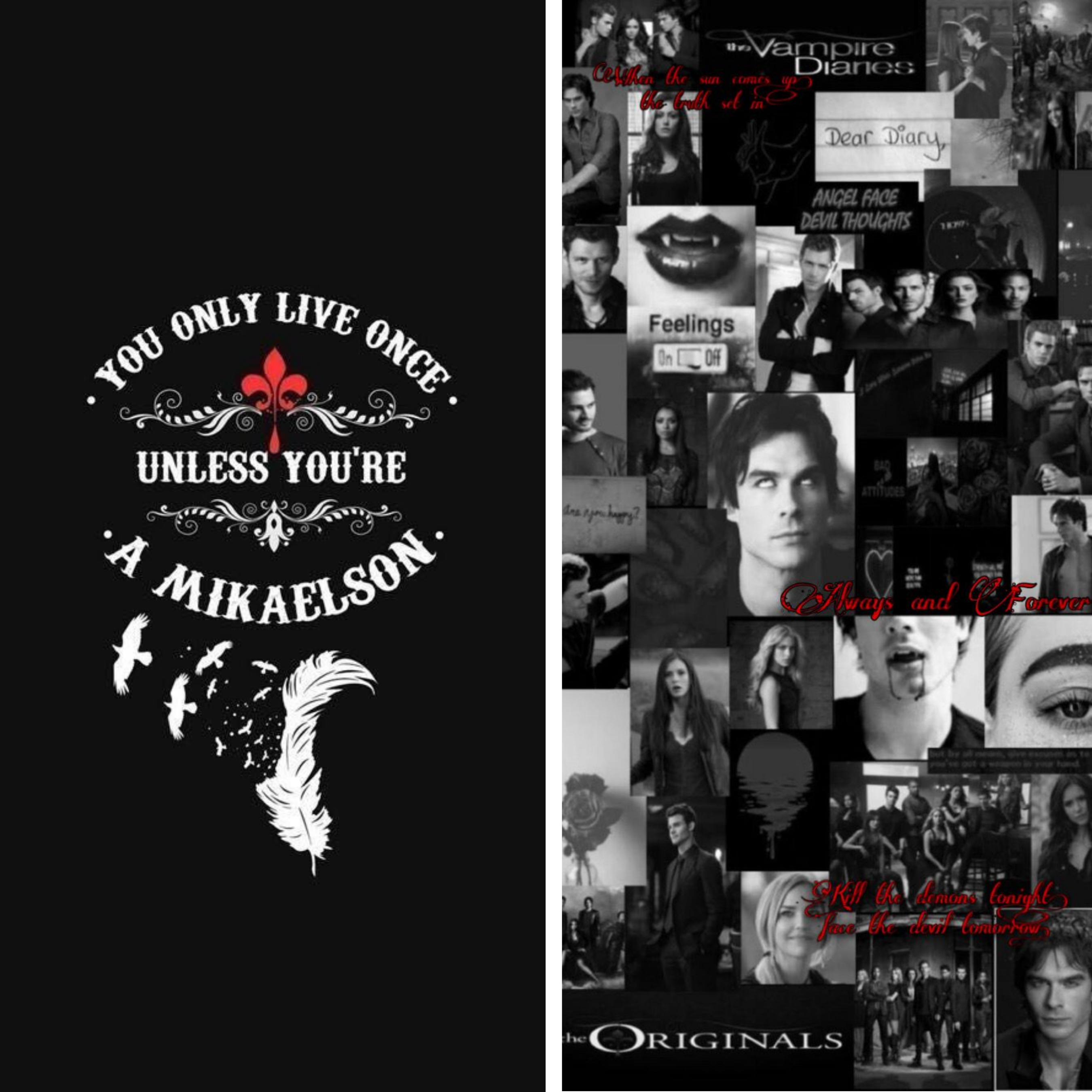 Vampire Diaries Mixed Media 9