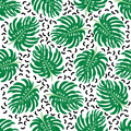 Monstera 11