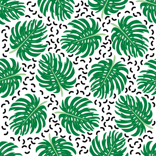 Monstera 11