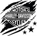 HARLEY VINYL 1