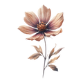 Spring '26 Collection -Decal 10