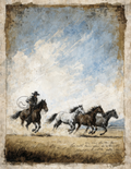 Western Lace Denim Collection- Vinyl 9