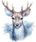 Collection A-Deer Decal