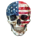 Flag Skull