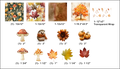 Collection B
