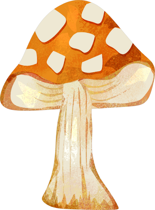 Collection B-Mushroom Decal /B12