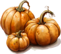 Collection B- Pumpkin Decal