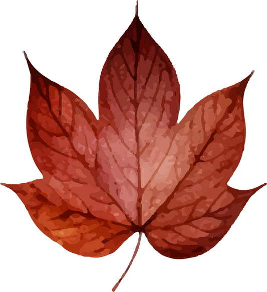 Collection B-Red Leaf Decal