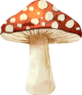 Collection B-Mushroom Decal/B9