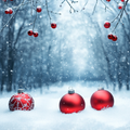 Christmas Vinyl 996