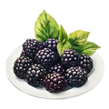 Berries D1