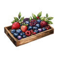 Berries D4
