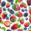 Mixed Berries V3