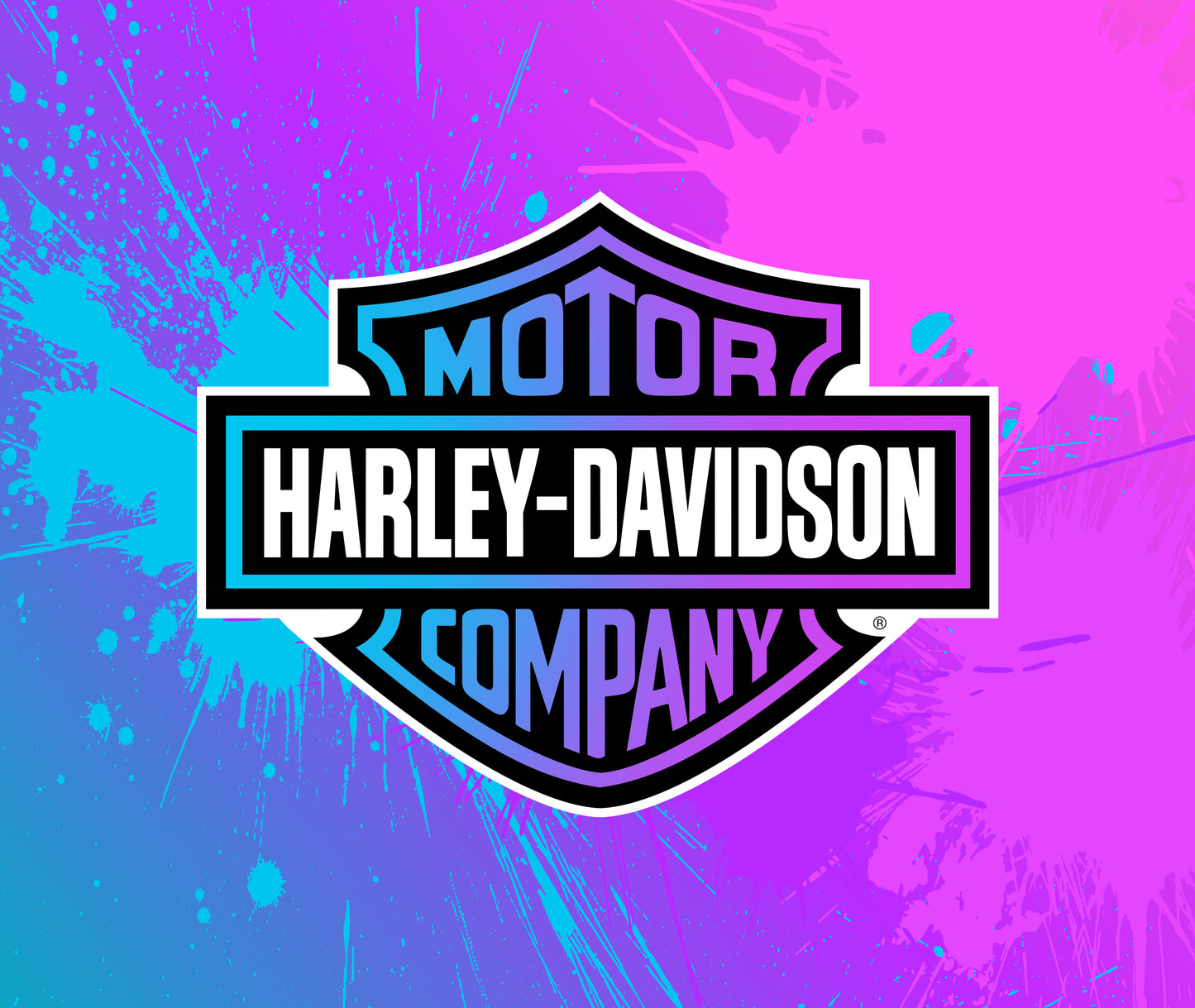 HARLEY VINYL 36