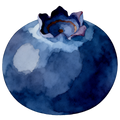 Blueberries Decal 1