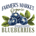 Blueberries Decal 30