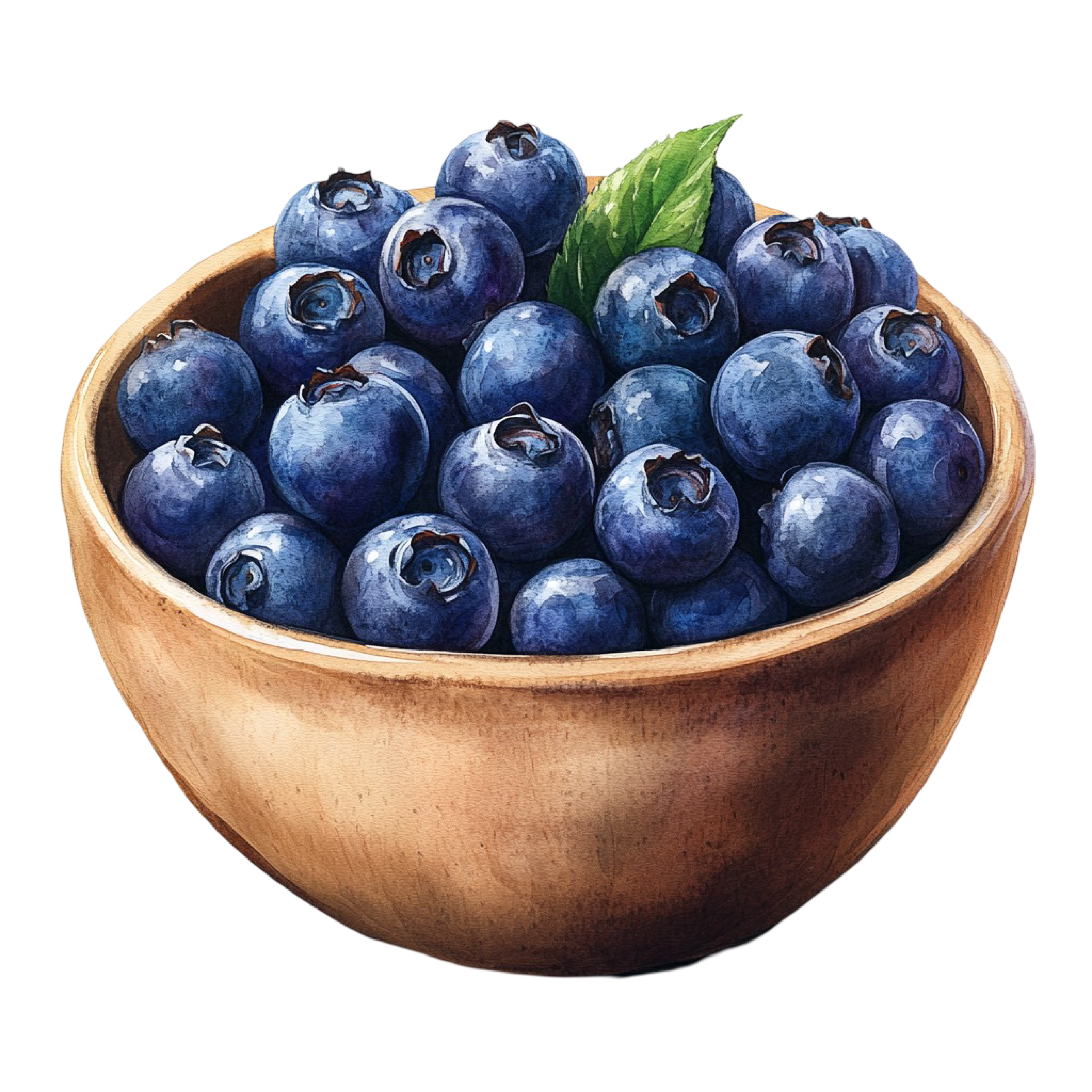Blueberries Decal 12