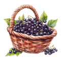 Blueberries Decal 13