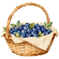 Blueberries Decal 17