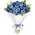 Blueberries Decal 19