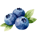 Blueberries Decal 2