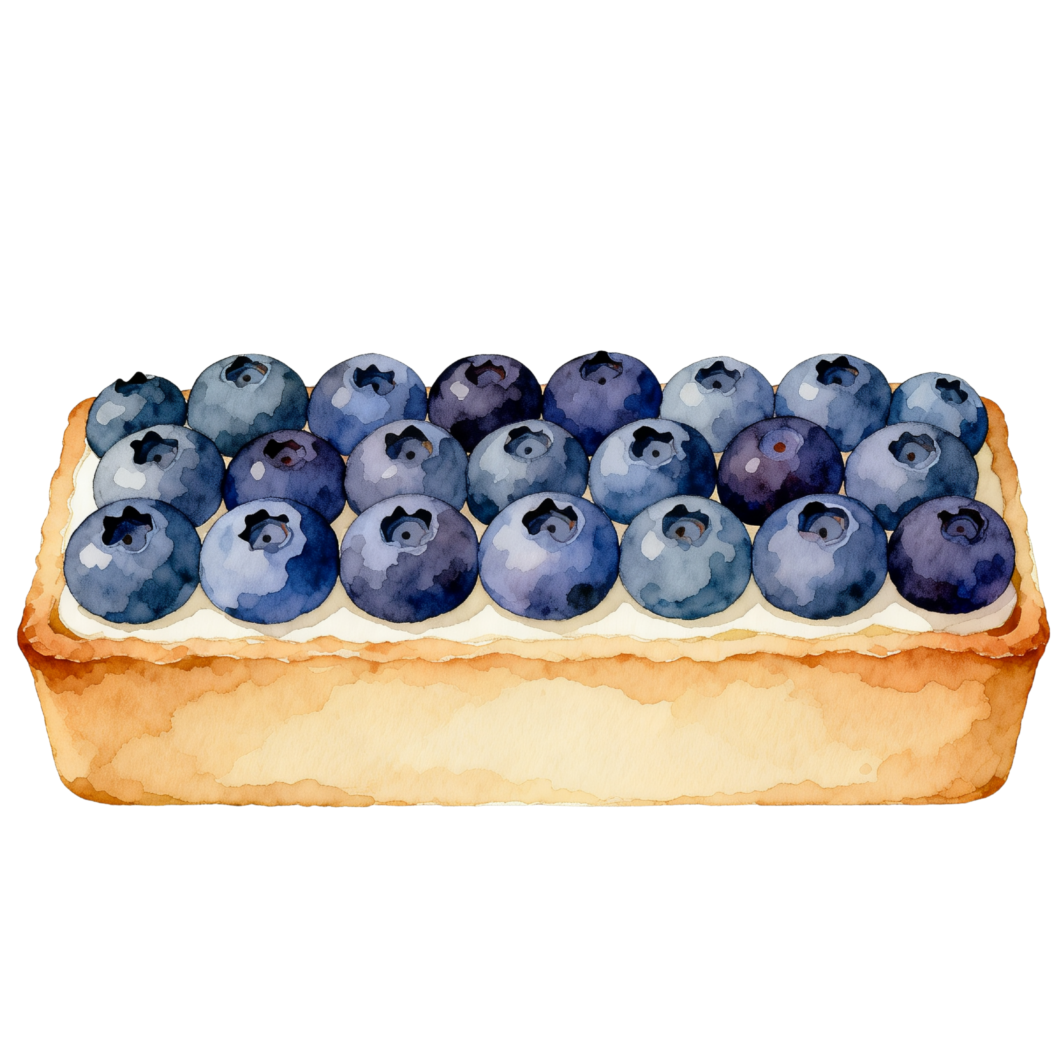 Blueberries Decal 20