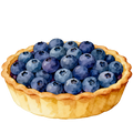Blueberries Decal 21
