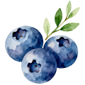 Blueberries Decal 3