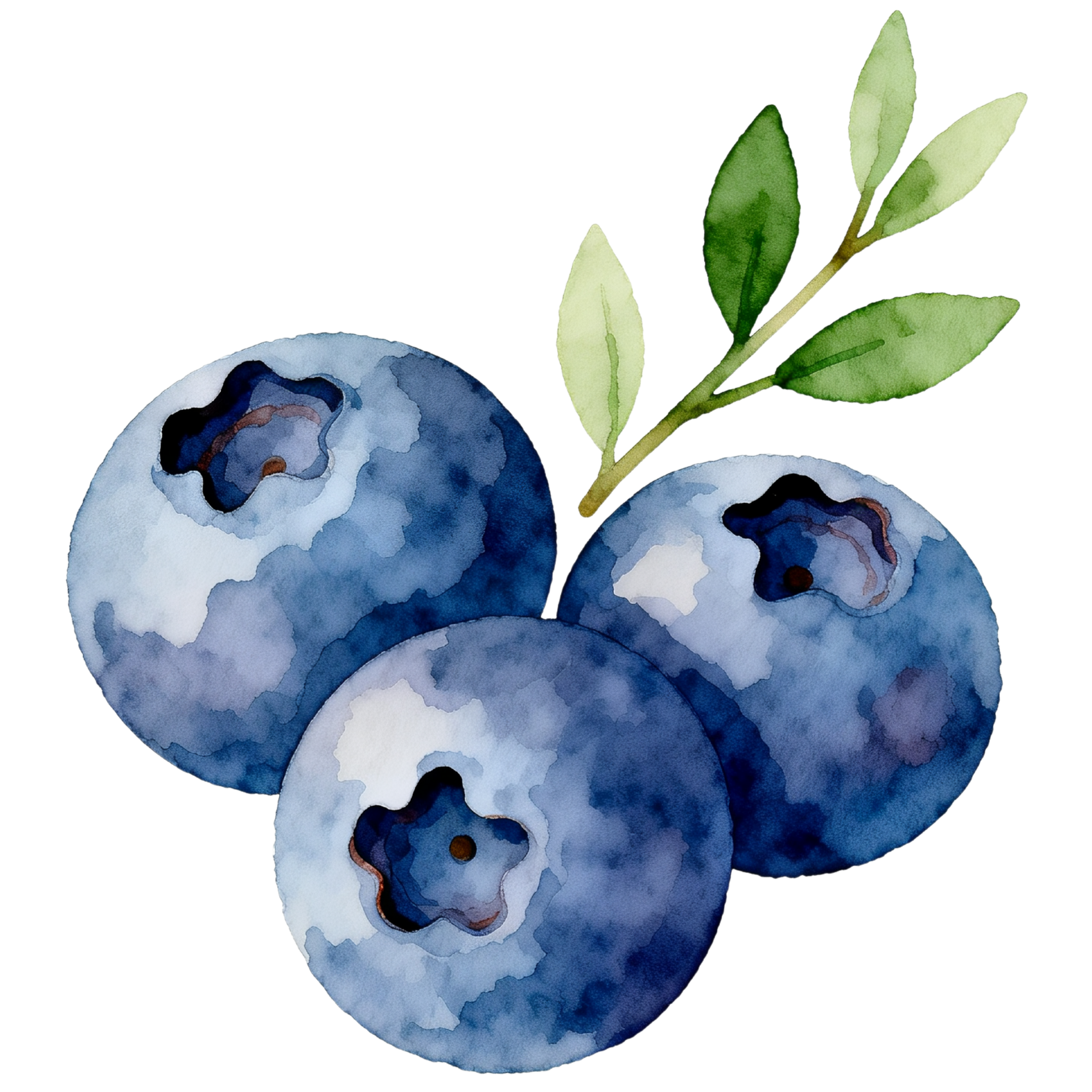 Blueberries Decal 3