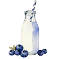 Blueberries Decal 8