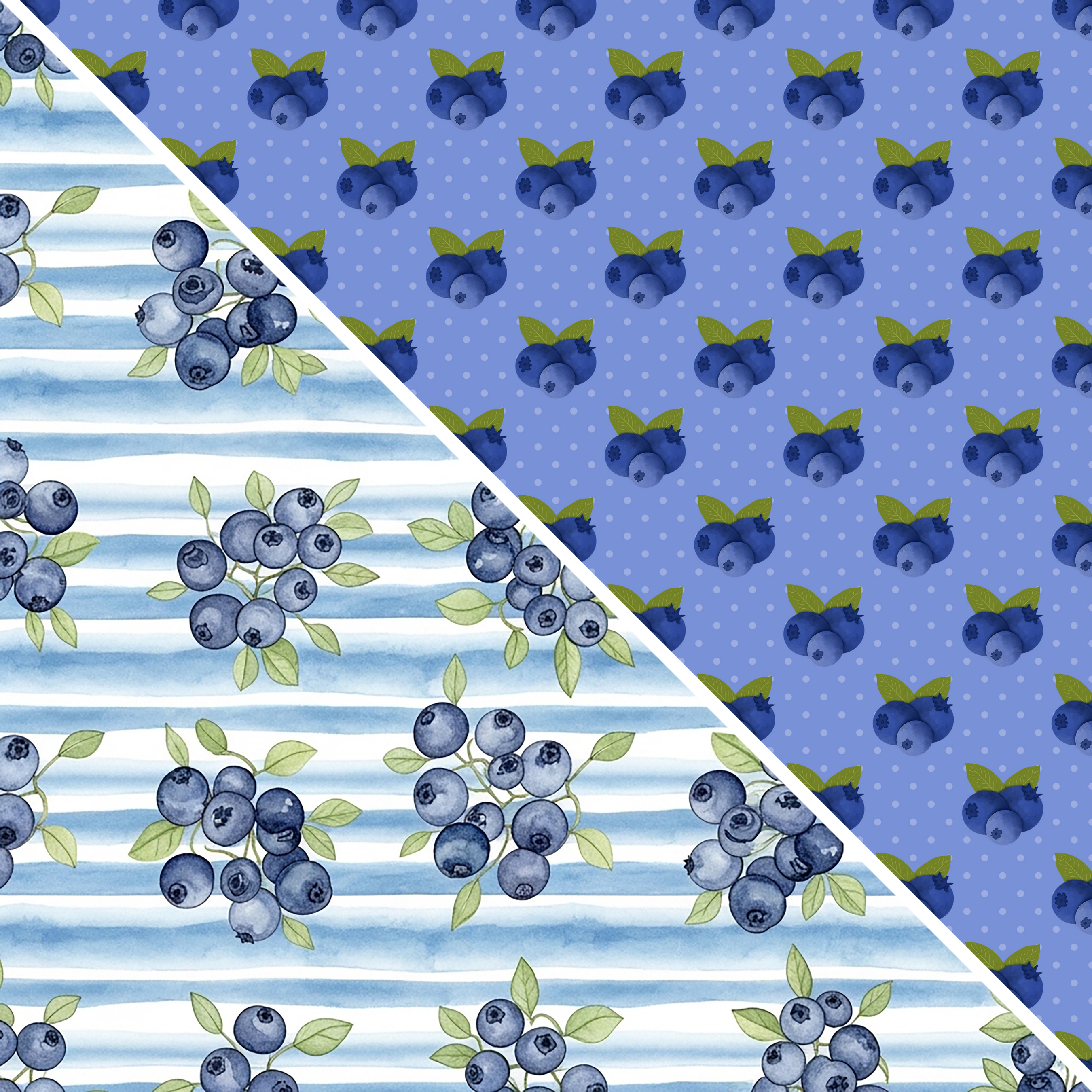 Blueberries MM 10