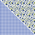 Blueberries MM 11