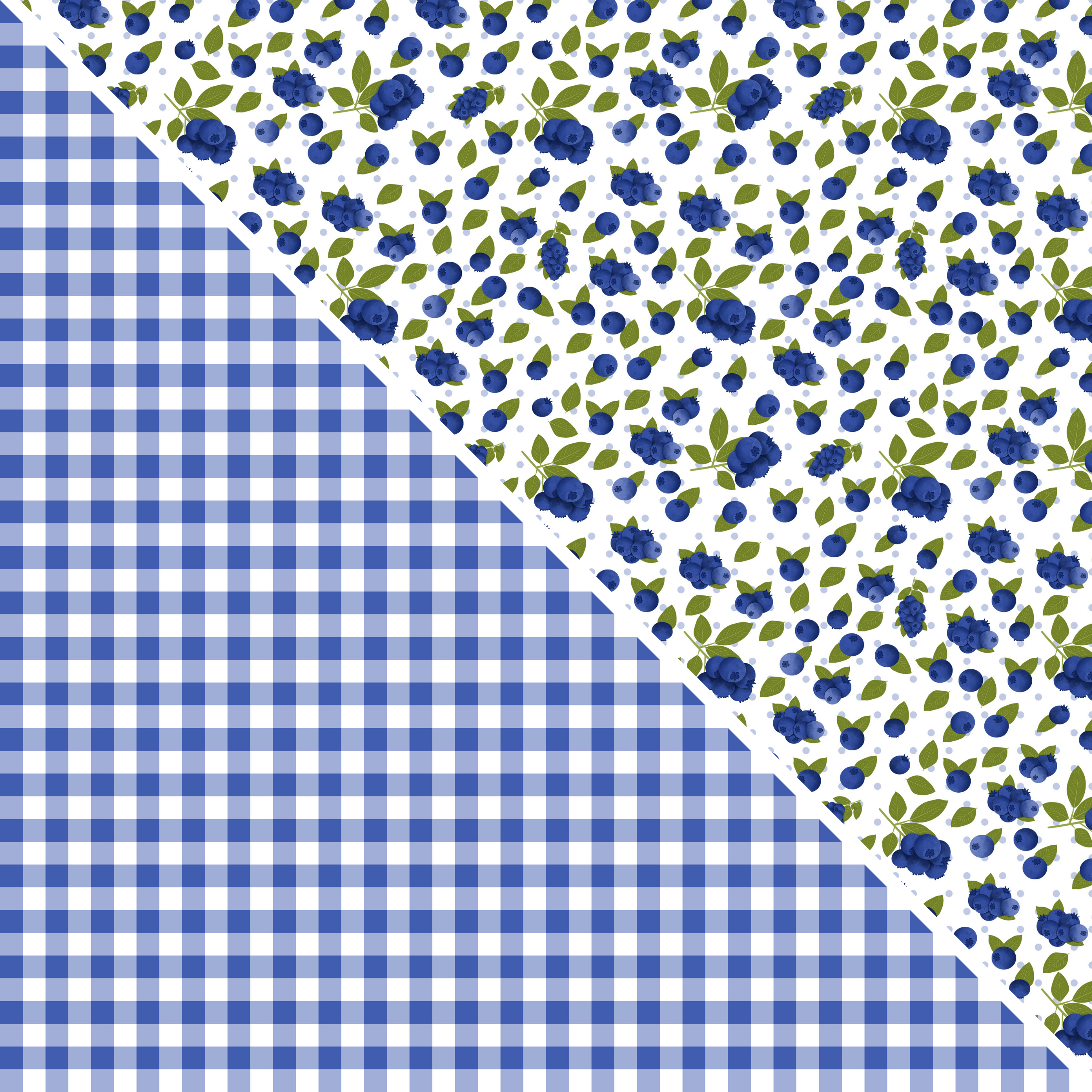 Blueberries MM 11