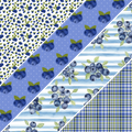 Blueberries MM 2