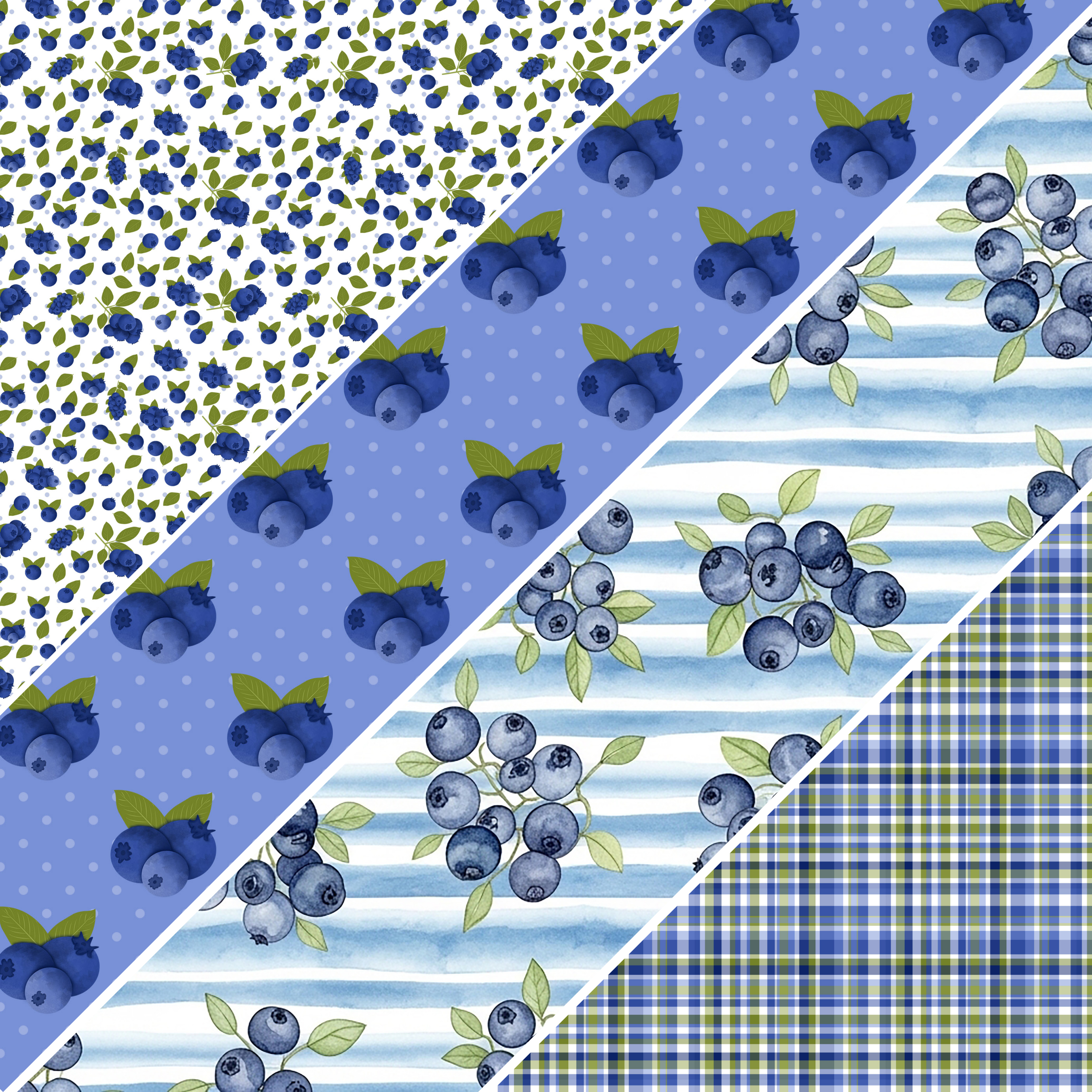 Blueberries MM 2