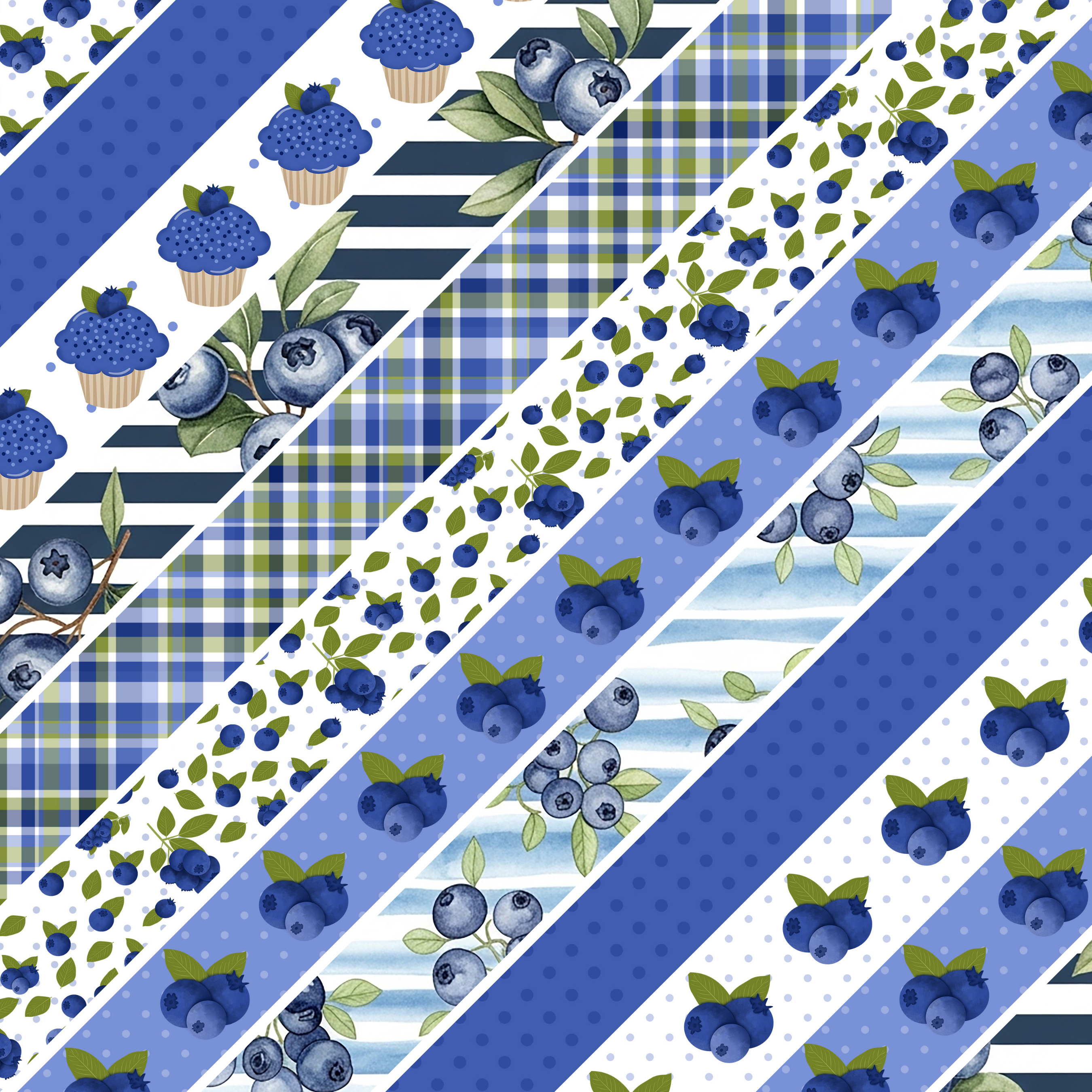 Blueberries MM 3